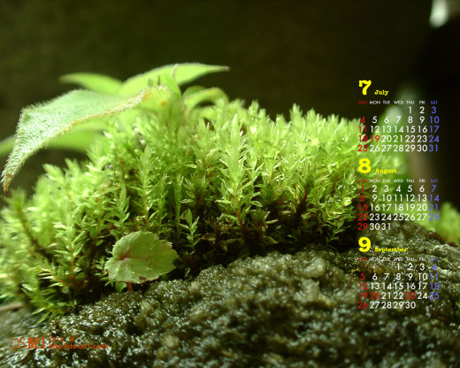 403084 (a): :1280x1024